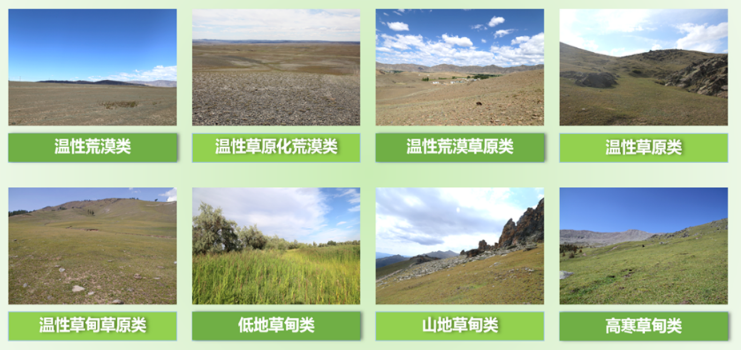 北京數慧遙感+：林草生態綜合監測解決方案