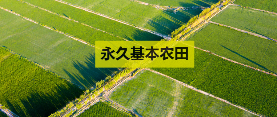 永久基本農(nóng)田更新包預(yù)檢軟件正式發(fā)布 歡迎試用