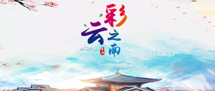 “美麗云南?七彩空間”北京數慧亮相云南省國土空間規劃研討會！
