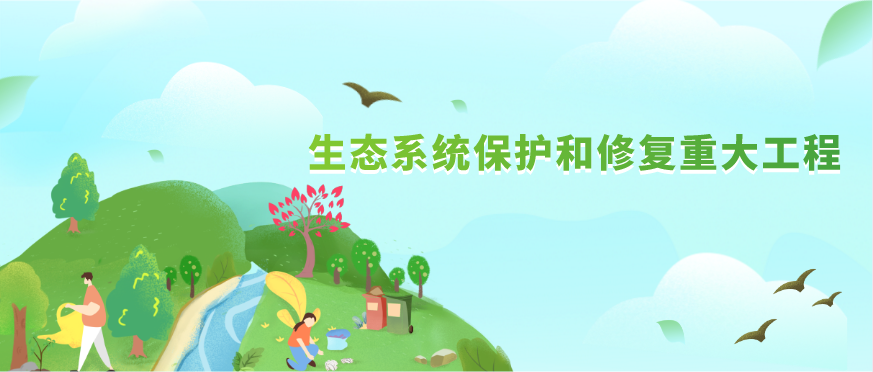 未來15年我國將以“三區(qū)四帶”為核心實施重要生態(tài)系統(tǒng)保護和修復(fù)重大工程
